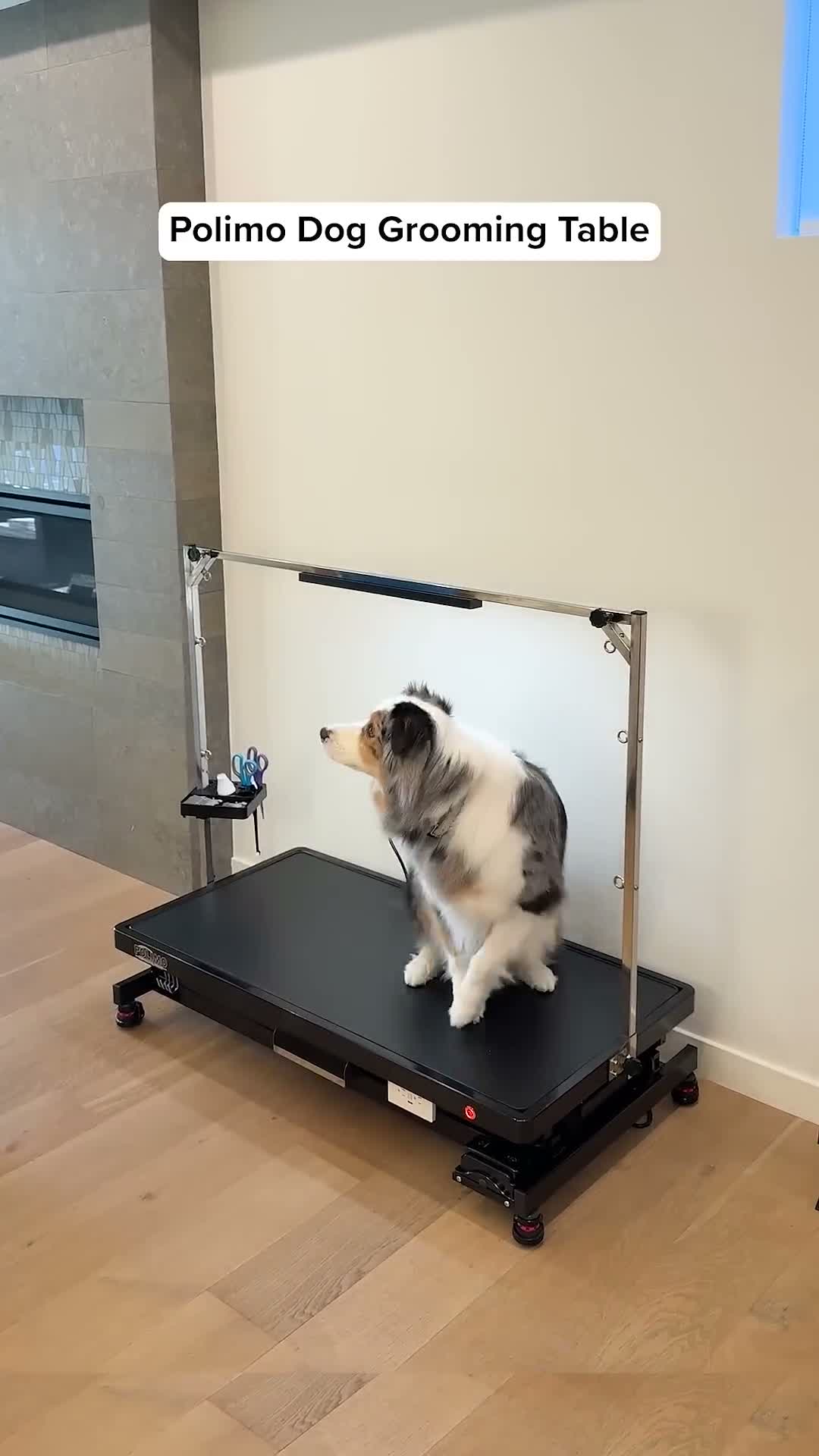 Flying Pig Heavy Duty Electric Motorized Pet Grooming Table - trending gadget from YouTube