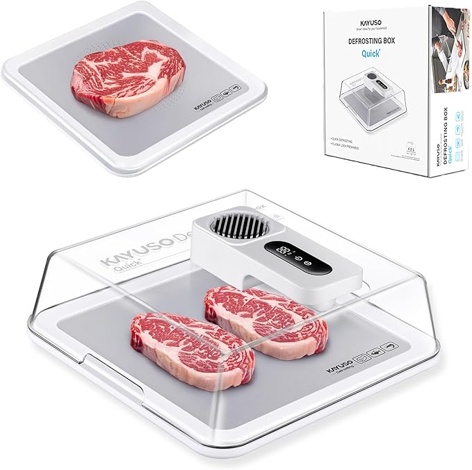 Timable Defrosting Tray for Frozen Meat - trending gadget from YouTube